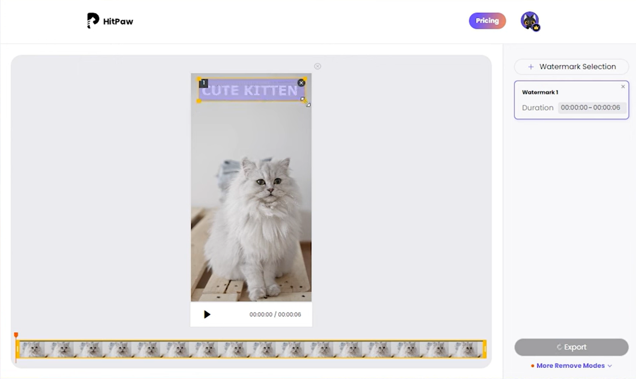 Interface of HitPaw - a well-known tool to remove text from videos online