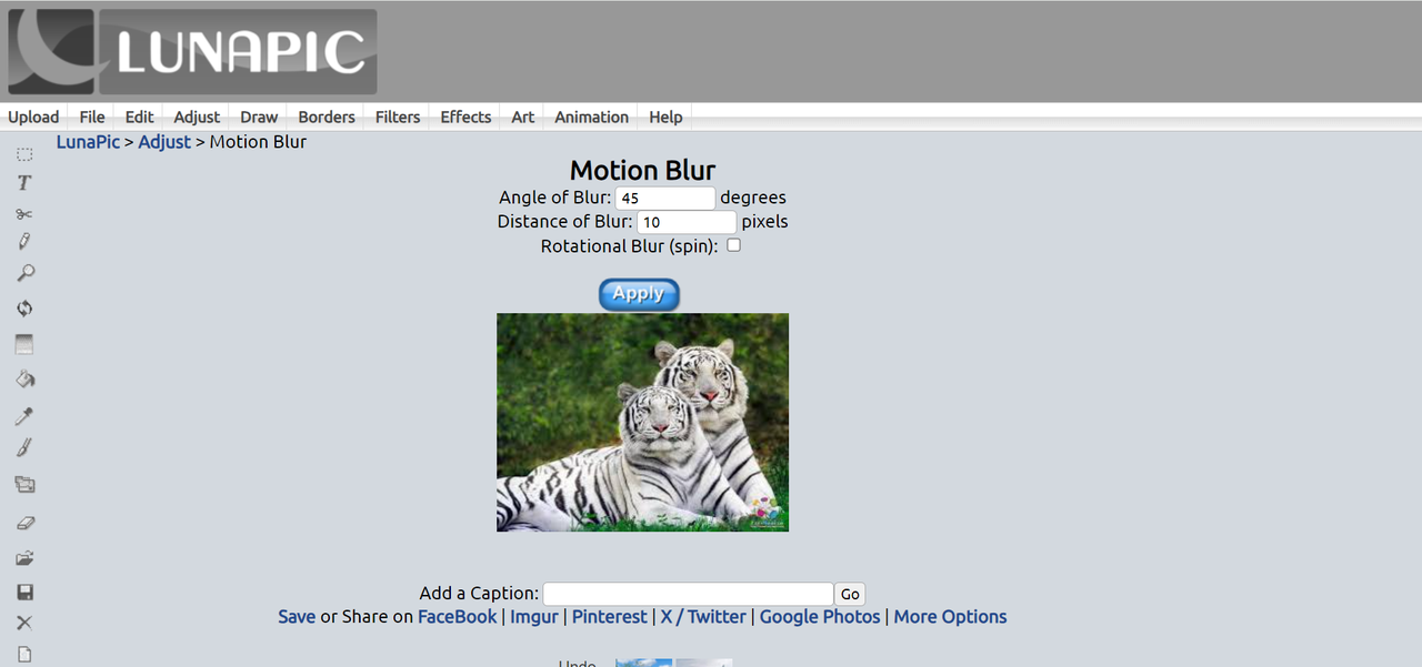 Interface of Lunpic - the best tool to add motion blur to photos online