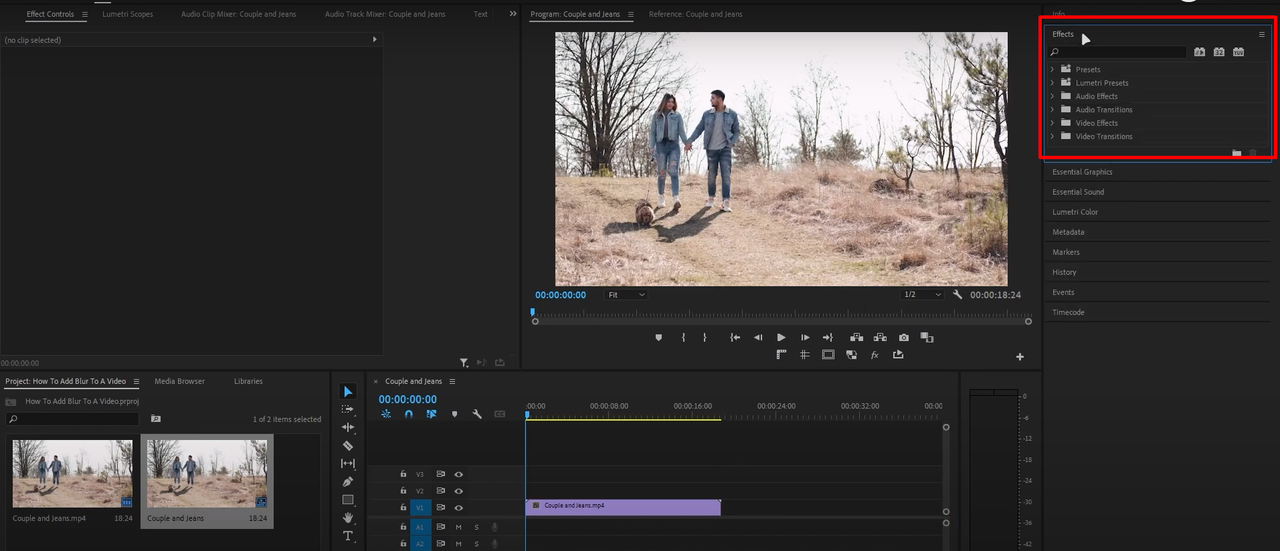 Searching for blur effects in Premiere Pro 