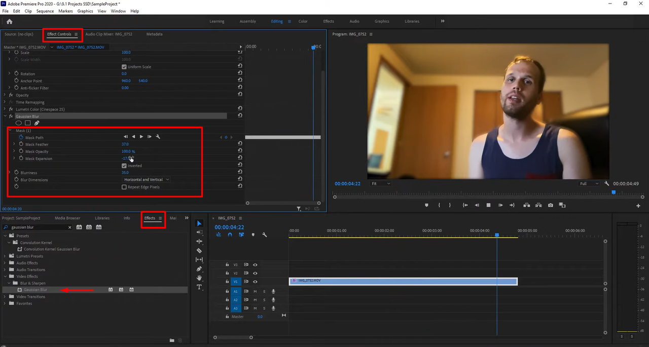Simple Ways To Add Blur In Premiere Pro Hide Unwanted Details Precisely