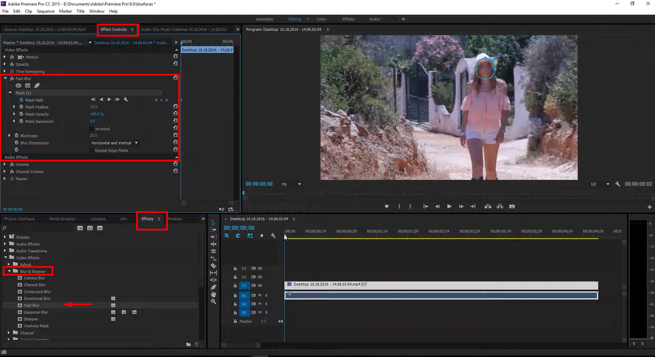 Interface showing how to blur the face in Premiere Pro