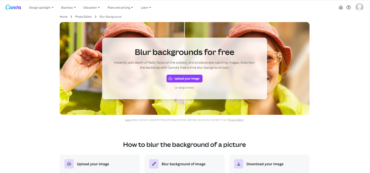 Interface of Canva - the perfect way to blur image background online