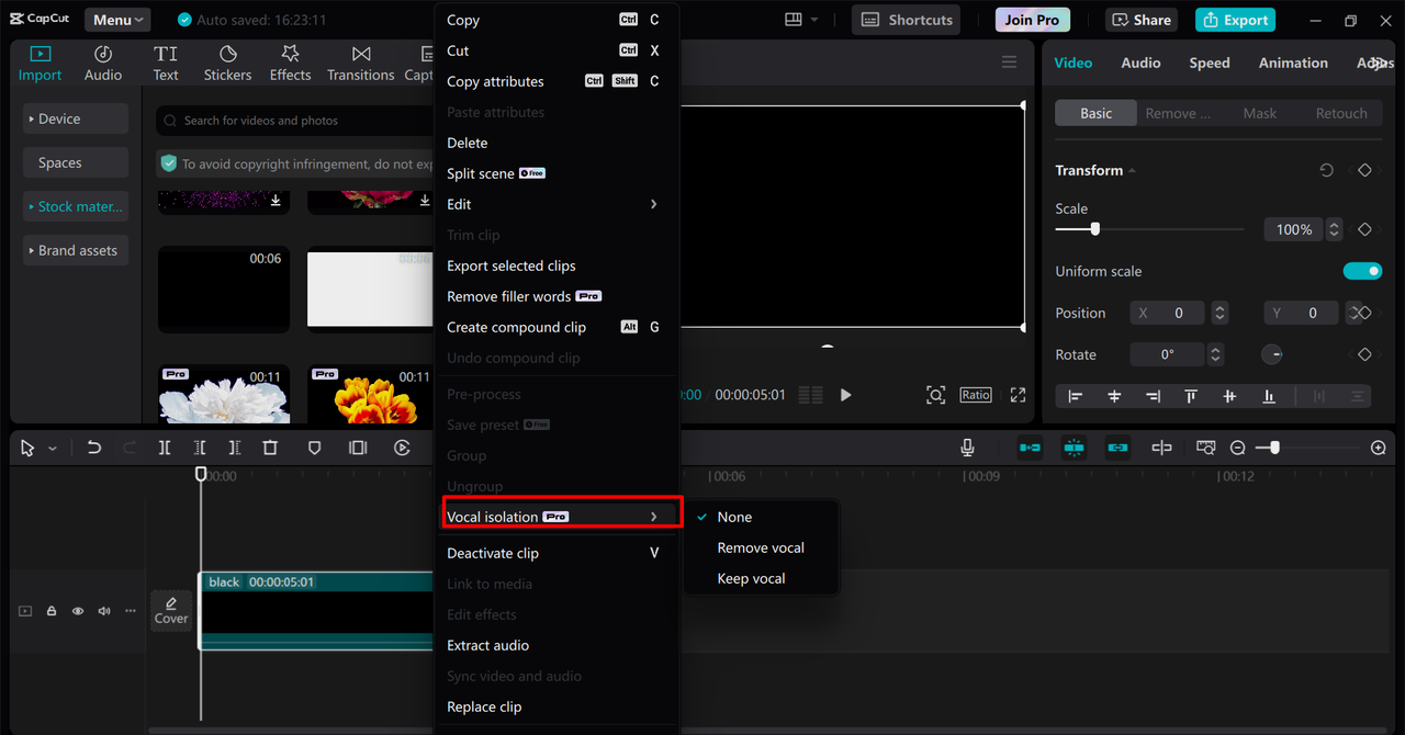 Isolating and refining vocals in the CapCut desktop video editor