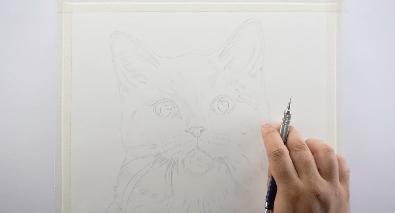 Cat portrait outlining