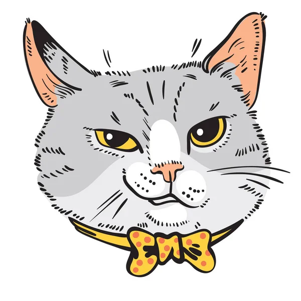 Cartoon or illustrative cat portraits