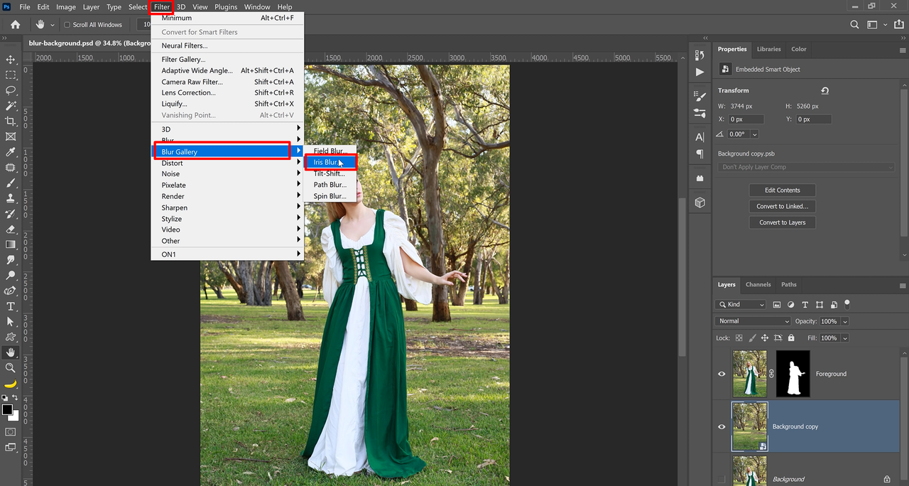 Applying an Iris blur filter to blur background in Photoshop