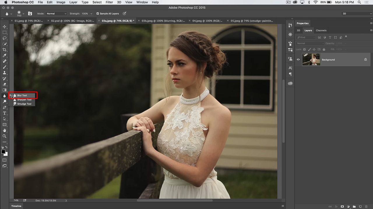 Image showing how to blur the edges of a photo in Photoshop using the blur tool