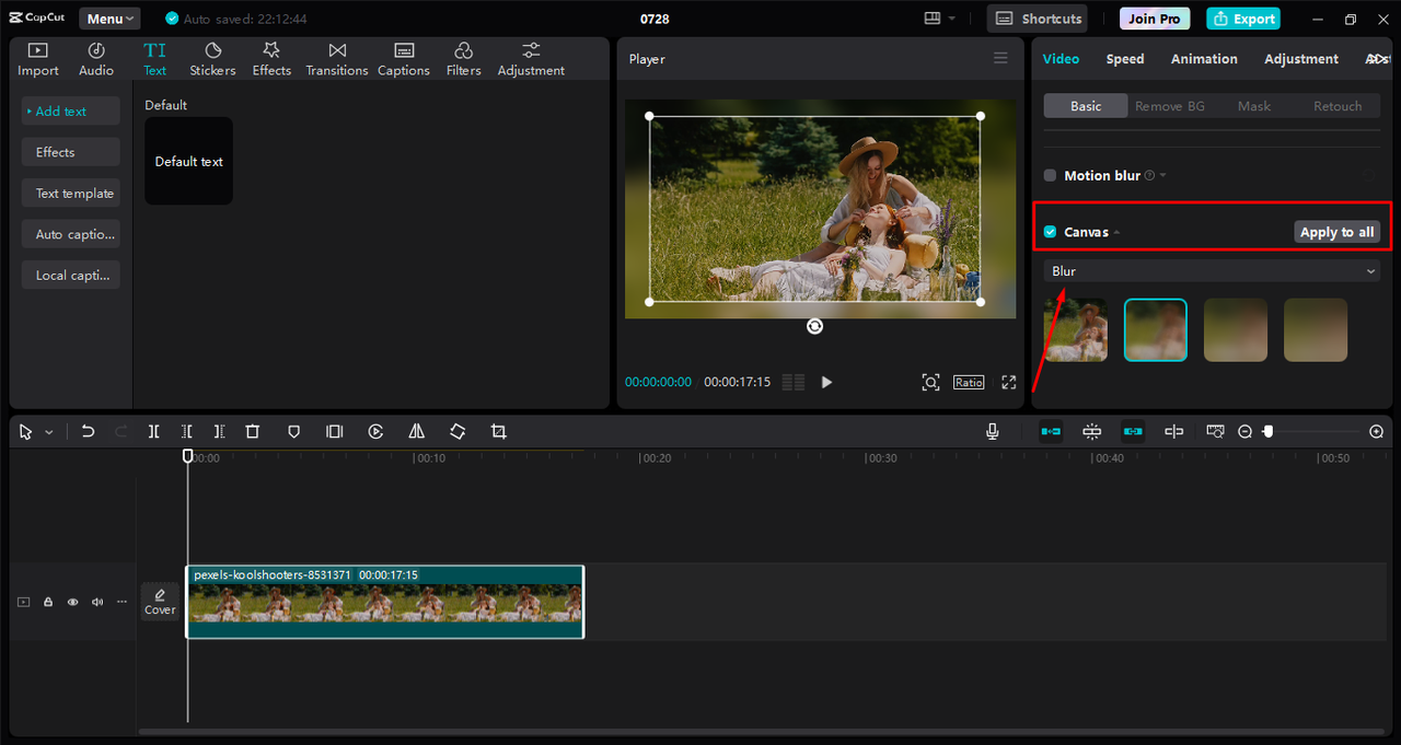 Adding blur border to the video in the CapCut desktop video editor 