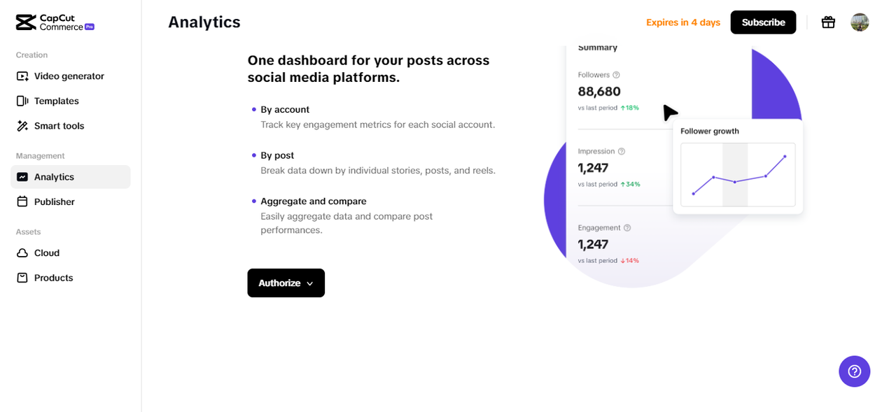 AI analytics tool