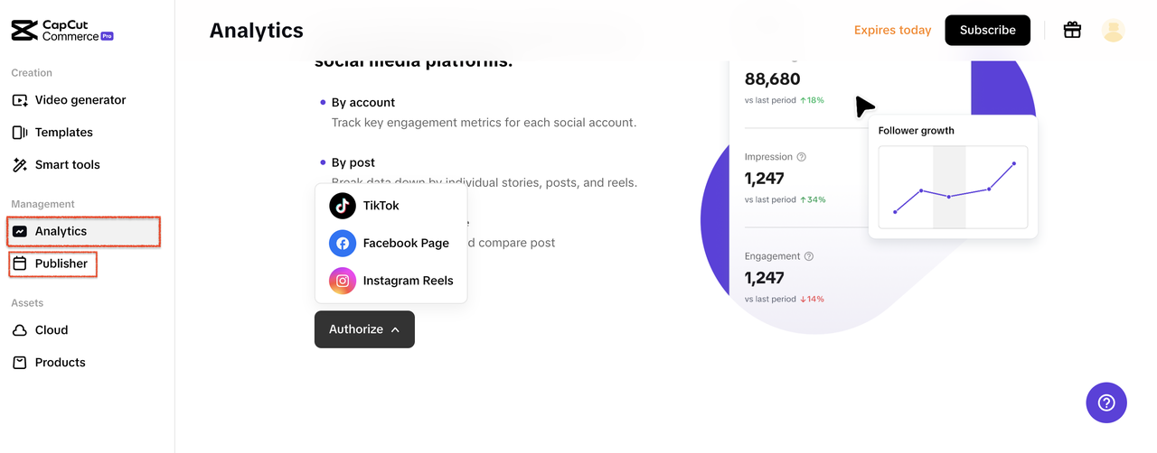 CapCut Commerce Pro analytics