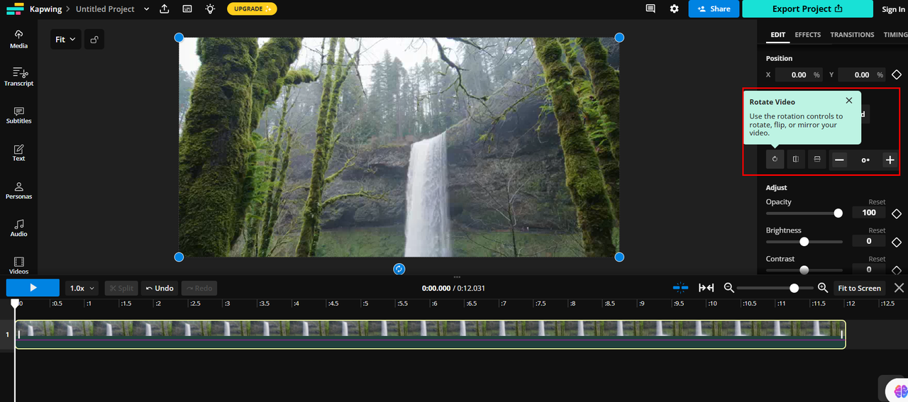 Kapwing is a feature-rich video editor that can mirror video online