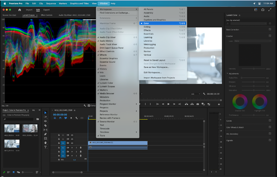 Premiere Pro's Lumetri color panel