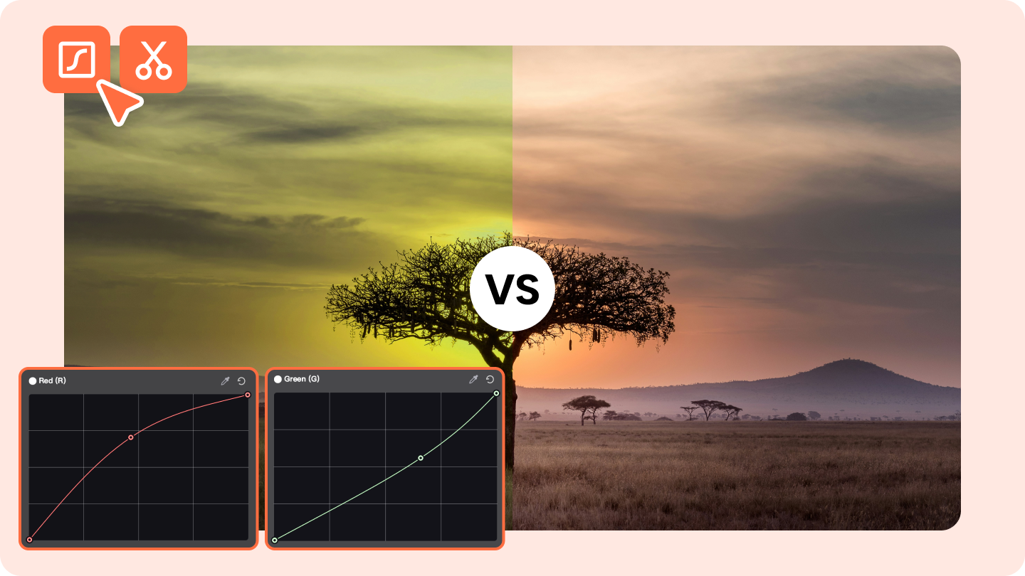 Color Grading and Correction Software