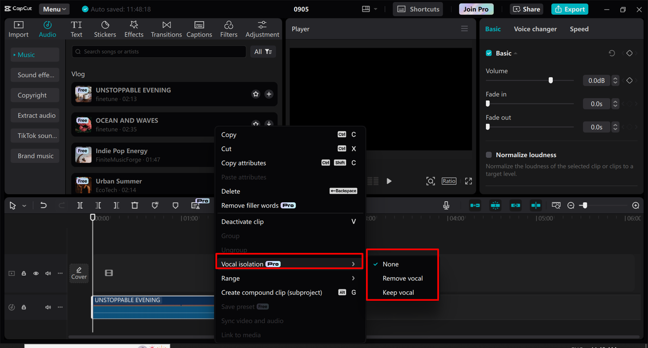 Enhancing Karaoke track in the CapCut desktop video editor