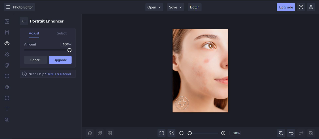 BeFunky's Portrait Enhancer's editor interface