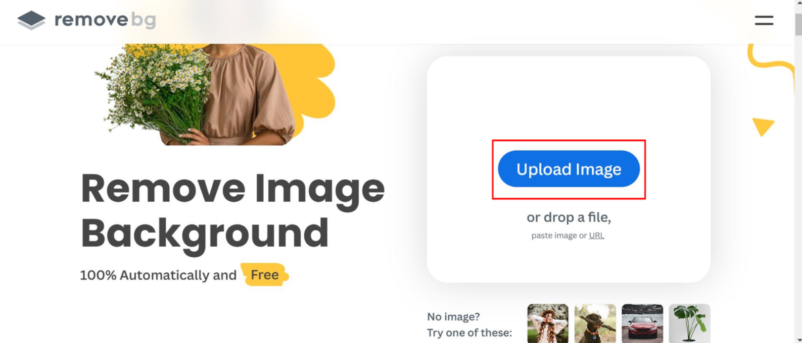 The "Upload Image" button on Remove bg