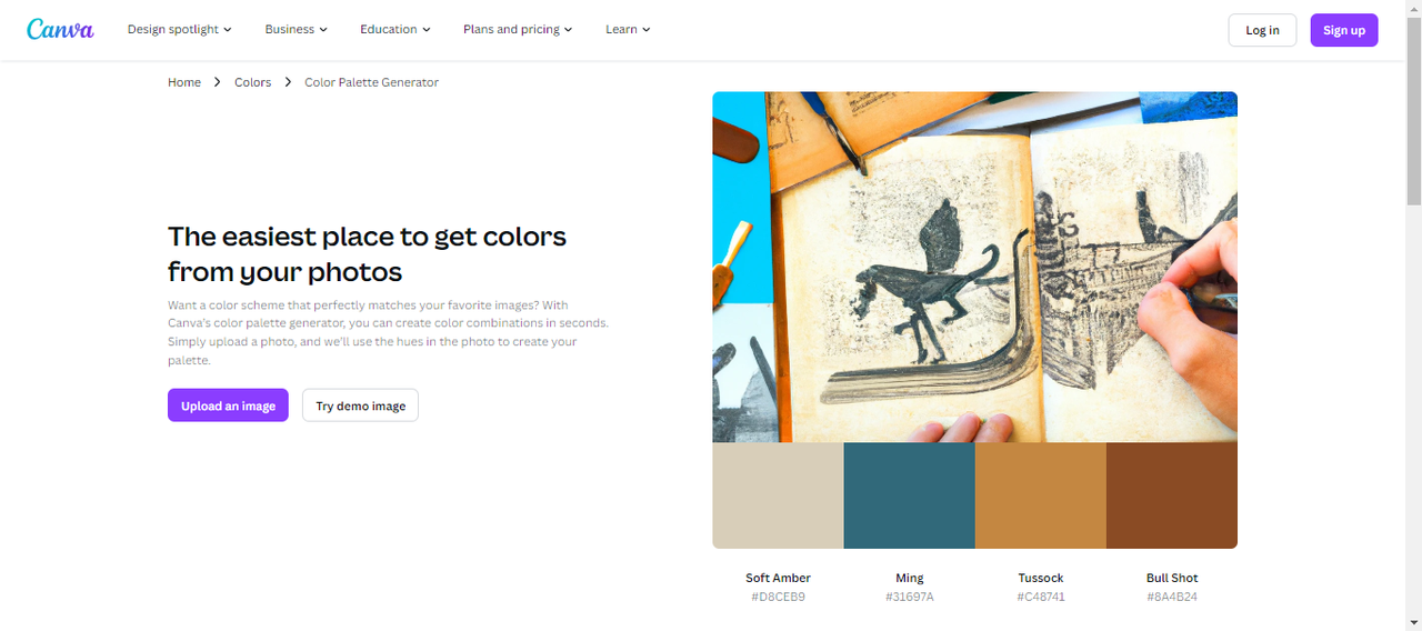 Interface of Canva - the popular color swatch generator