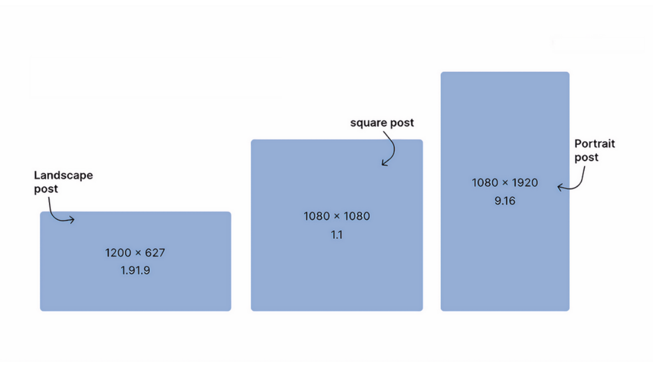 Examples of videos with different aspect ratios on LinkedIn