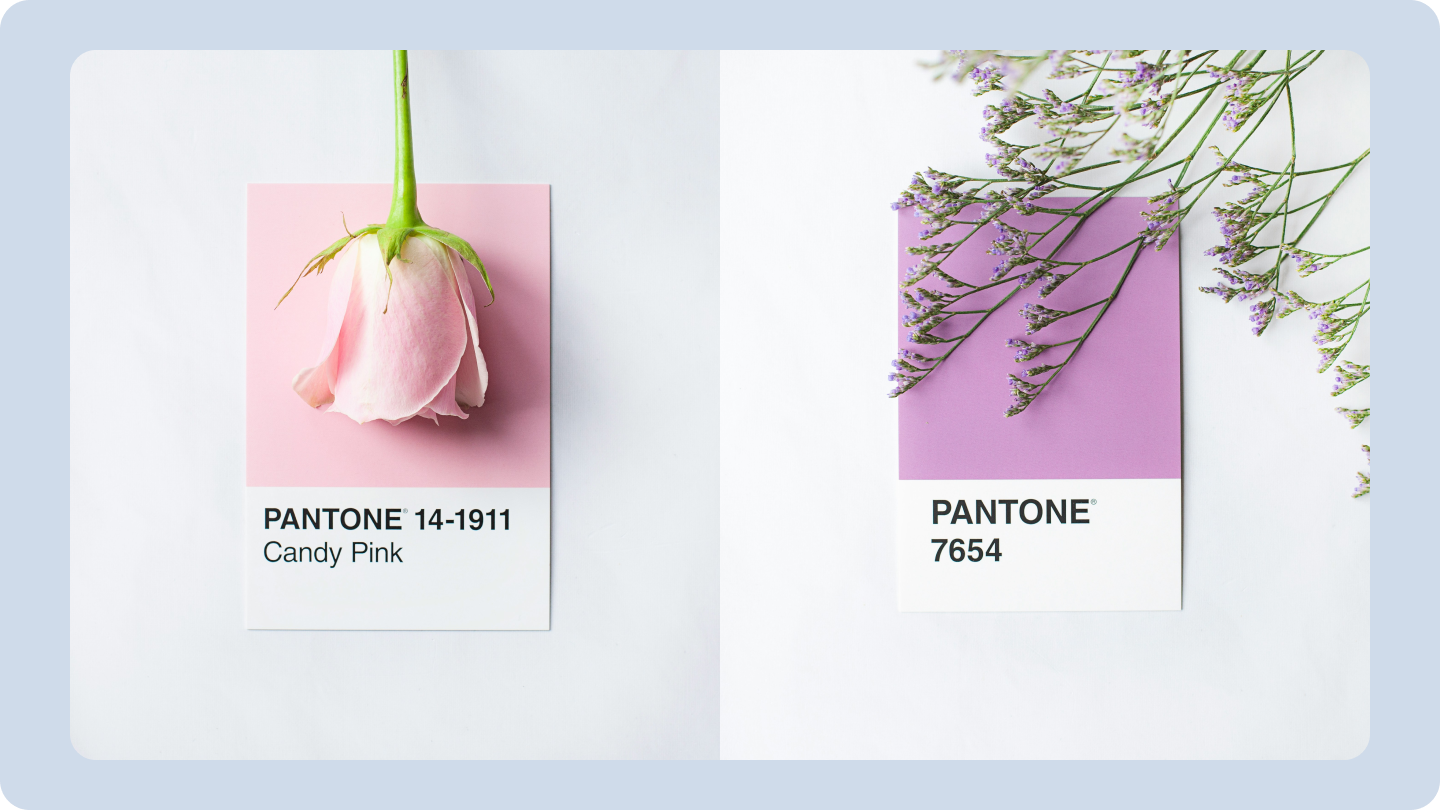 pantone swatches