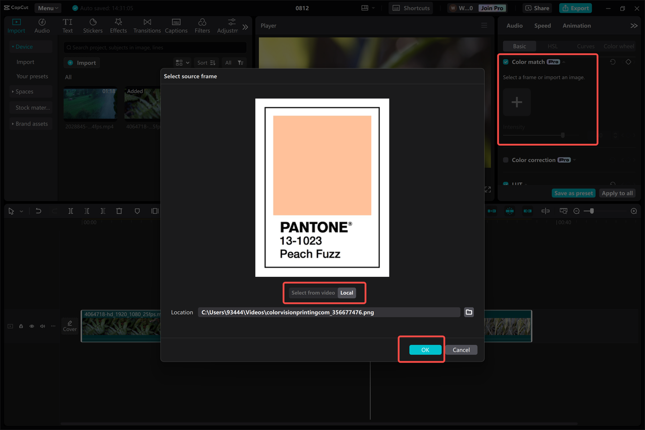 Choosing and adjusting colors in a video in the CapCut desktop video editor 