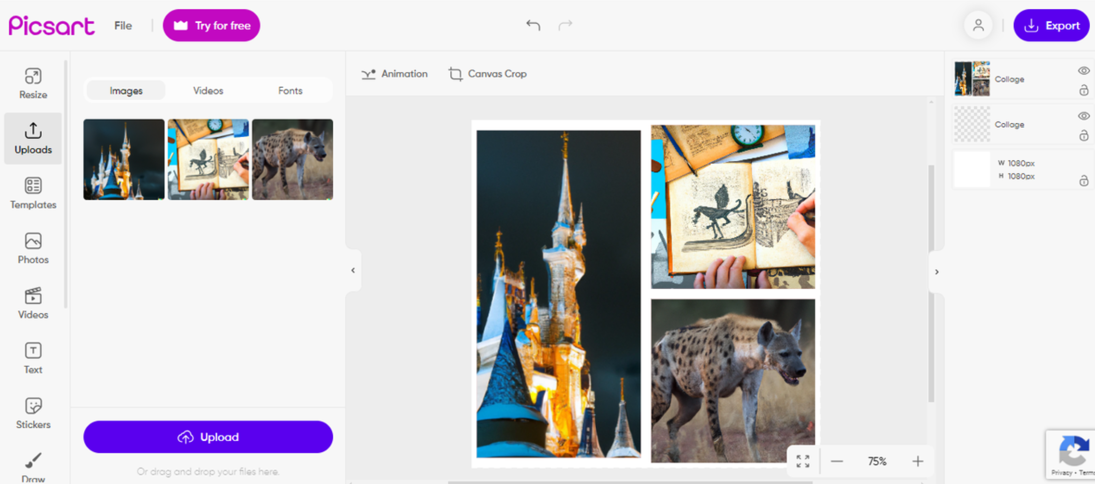 Interface of the Picsart - the free collage maker online