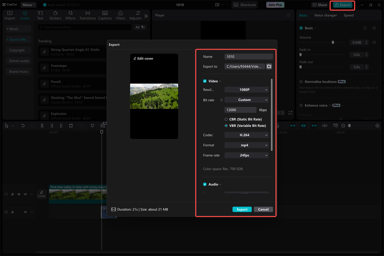 CapCut export interface showing Instagram video format and size options for reels