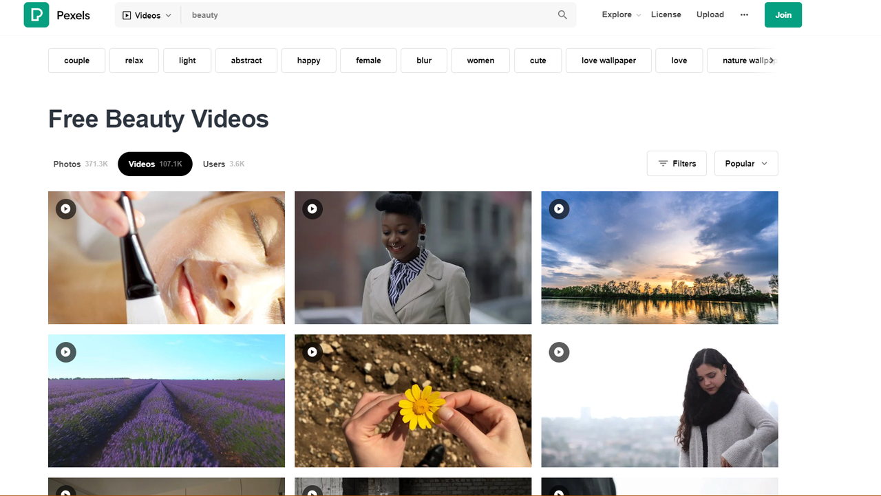 Showing interface of Pexels Videos free stock website