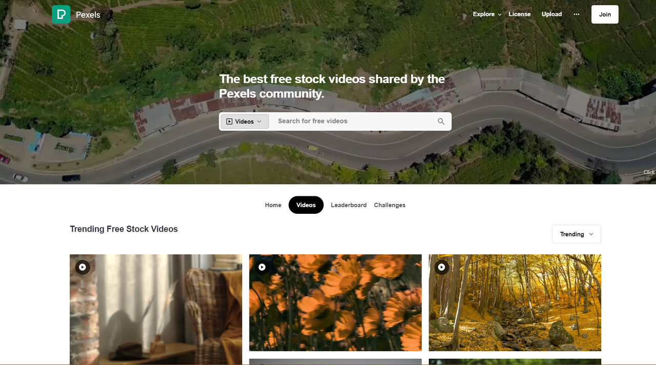 Visiting the Pexels video website