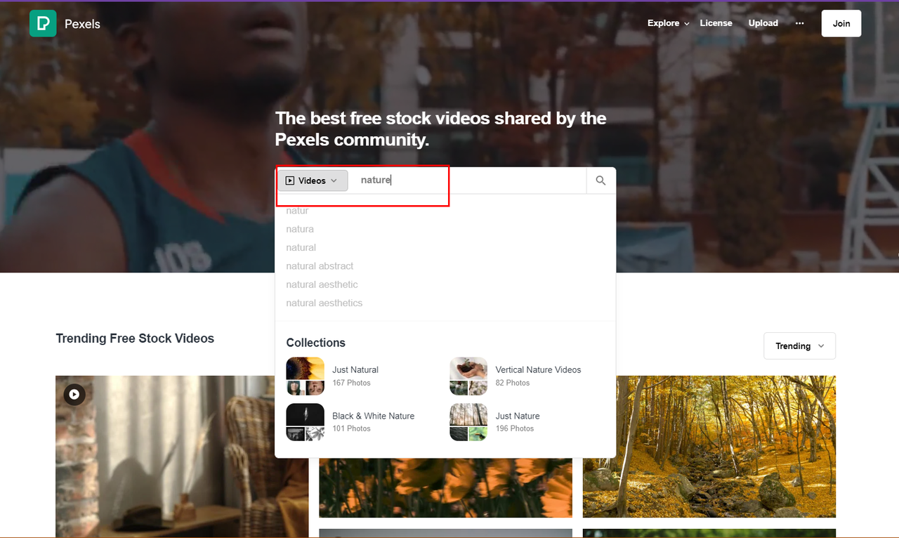 Searching for the desired video in Pexels