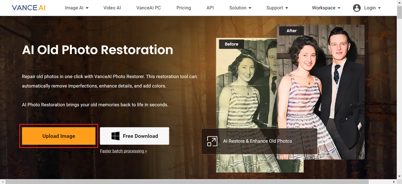 Click "Upload Image" to use Vance AI photo repair feature to AI fix old photos