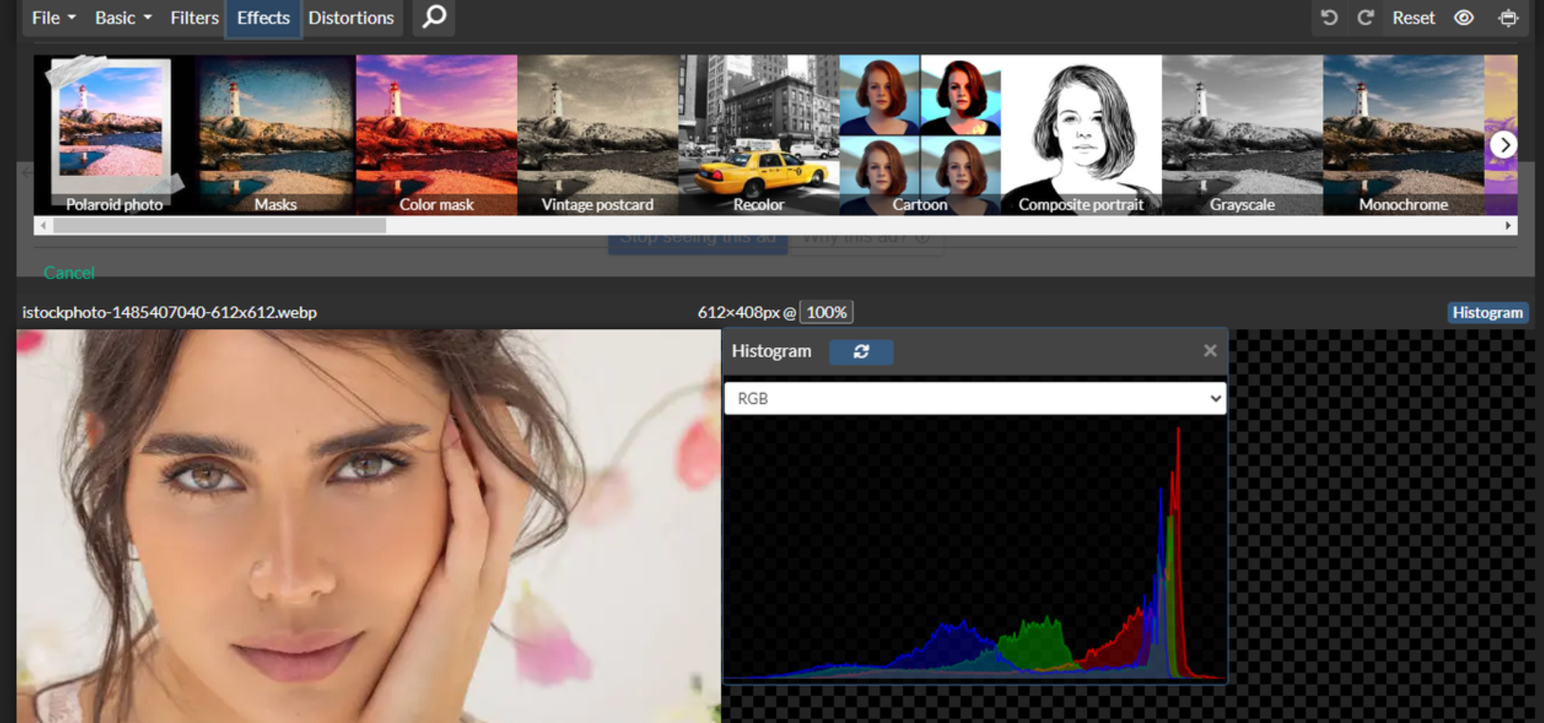 Interface of the PhotoFilters - the reliable tool for eyebrow map filters