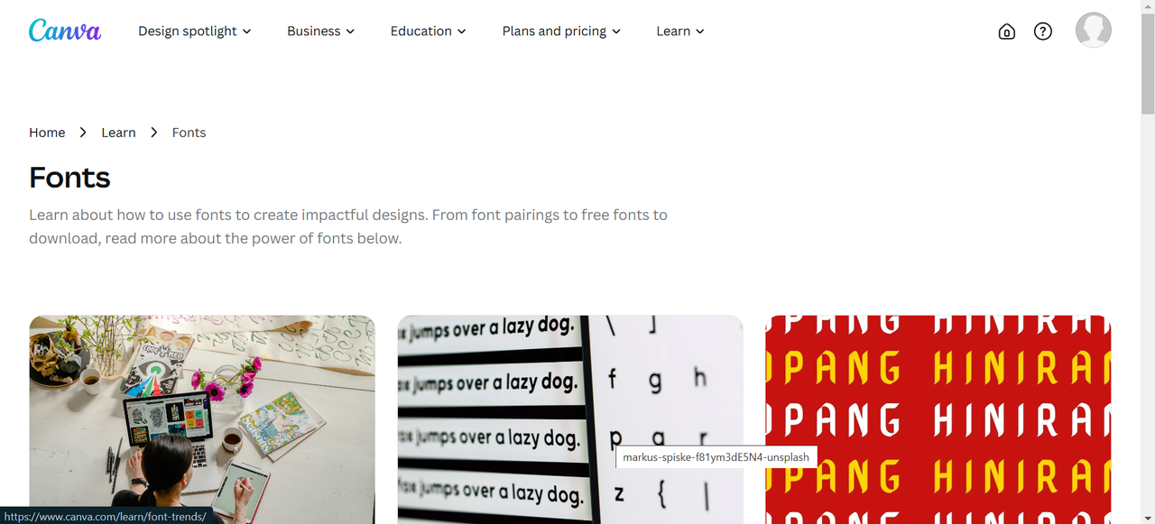 Interface of Canvafont- best website for downloading Canva Sans bold font 