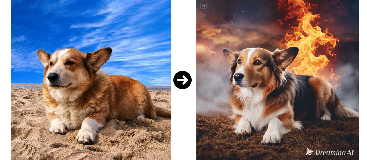 Wizard style for dog photo example