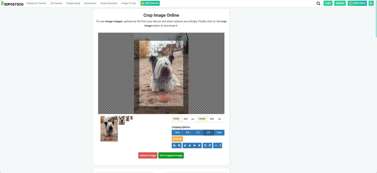 online zoom out images with an image cropper