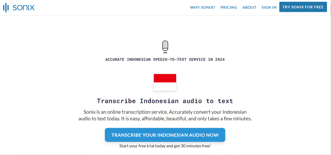 Interface of Sonix - an online platform to translate to Indonesian voice