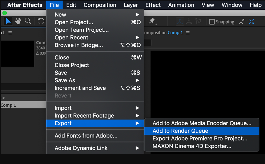 Export the video