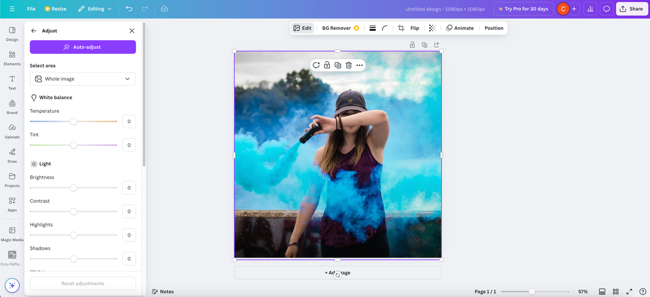 Canva background changer