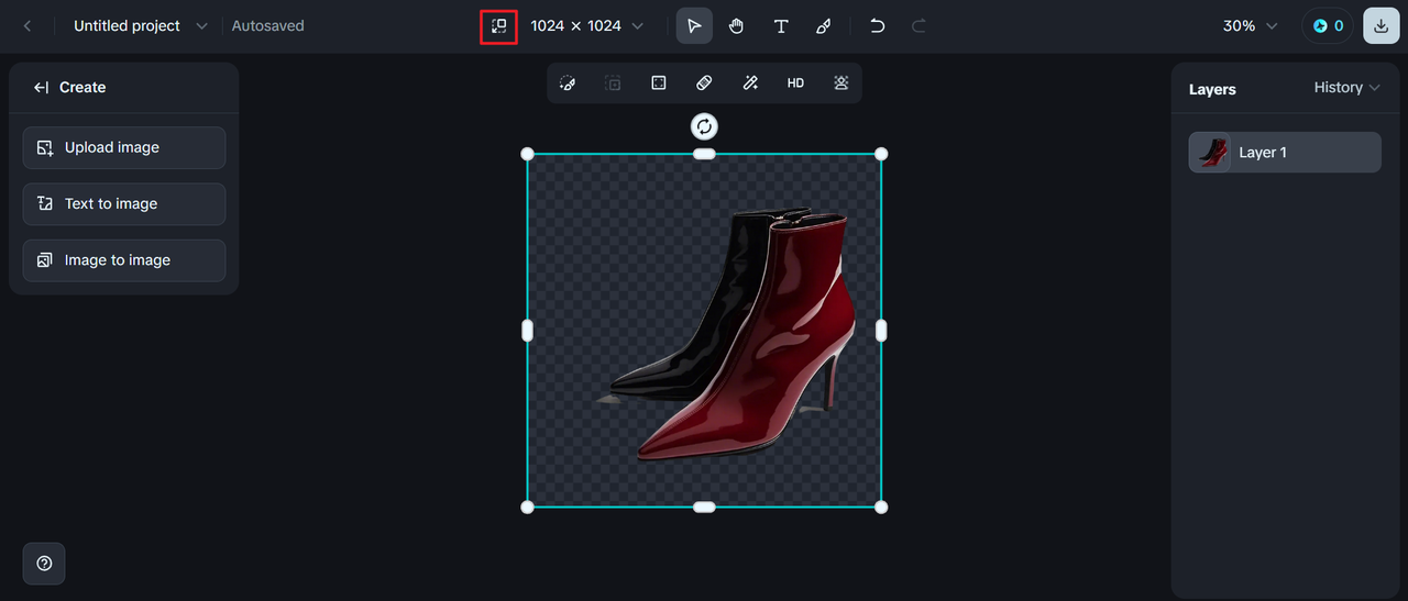 Adjust the canvas on the mirror image editor online