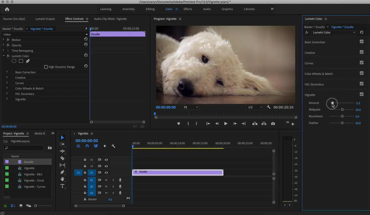 Adding vignette effect in Premiere Pro with built-in feature