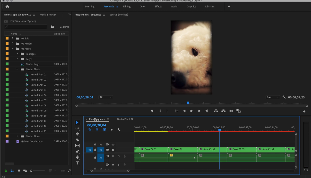 Customizing the downloaded template of the vignette effect in Premiere Pro