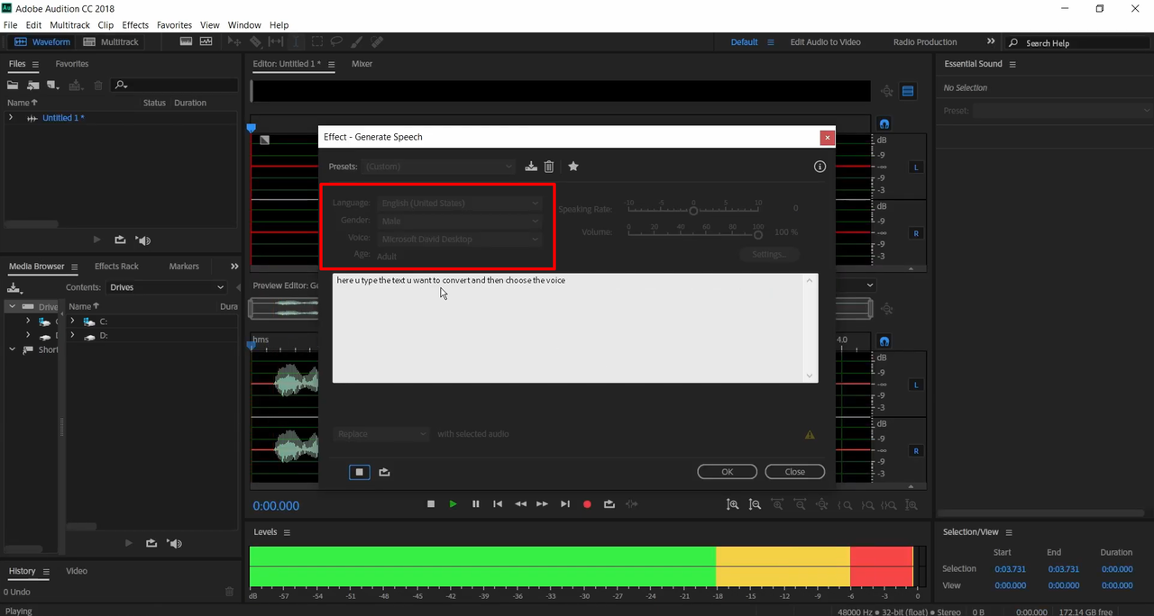 Entering your text in the text bar and selecting the voice tone in Adobe Audition