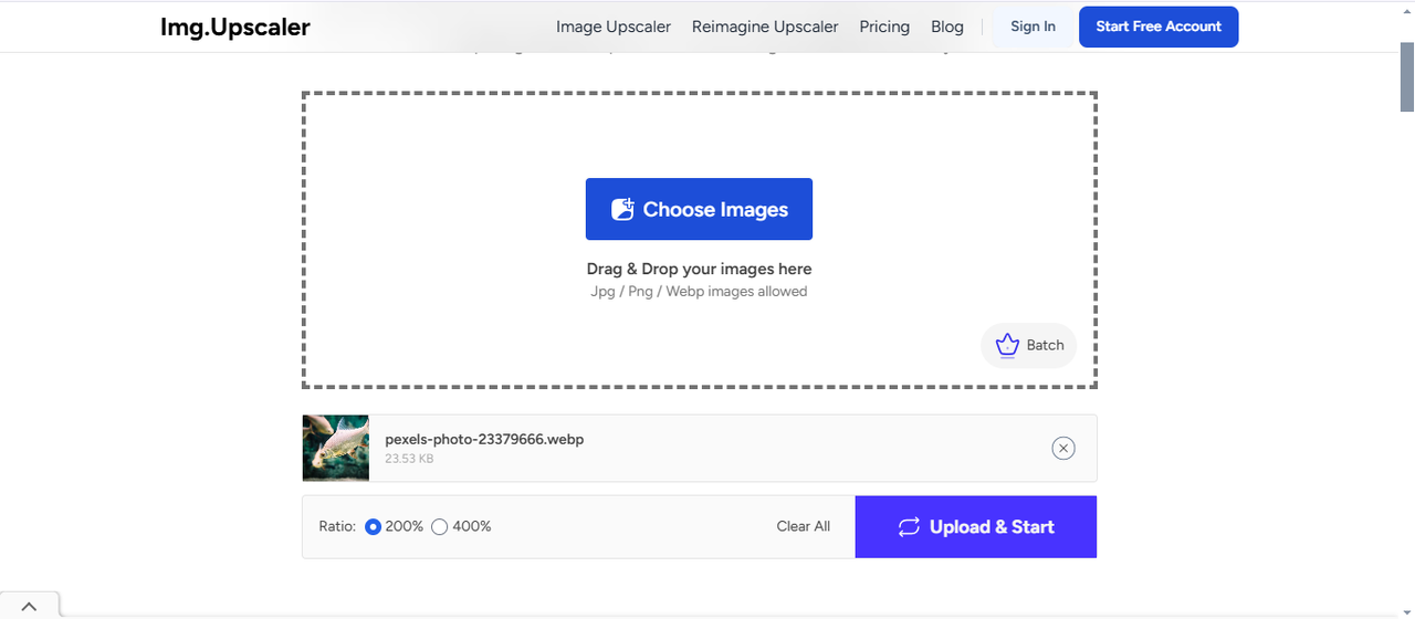 Image Upscaler's editing interface