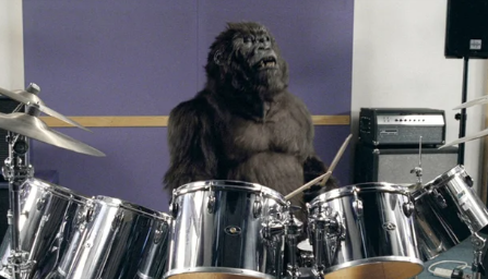 Cadbury "Gorilla Drumming" advertisement