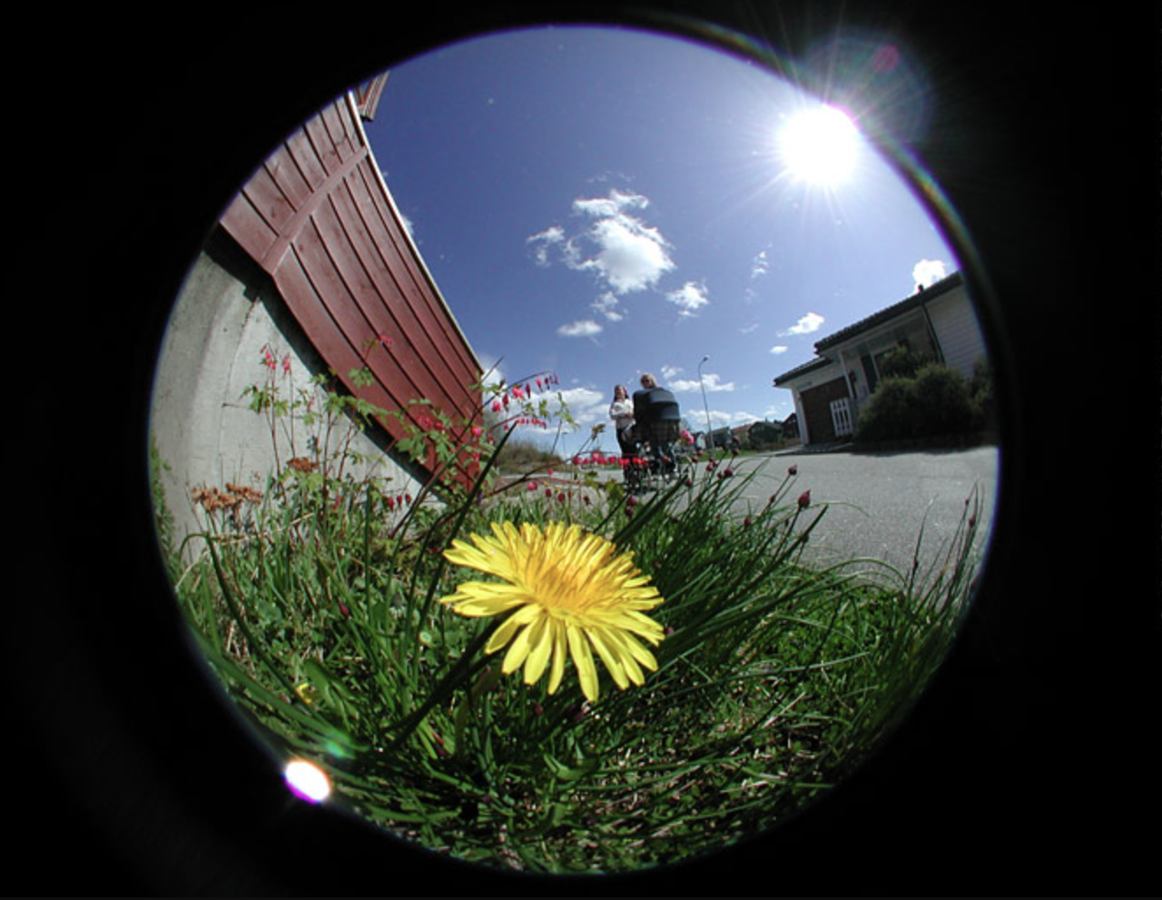 What is a fisheye lens effect