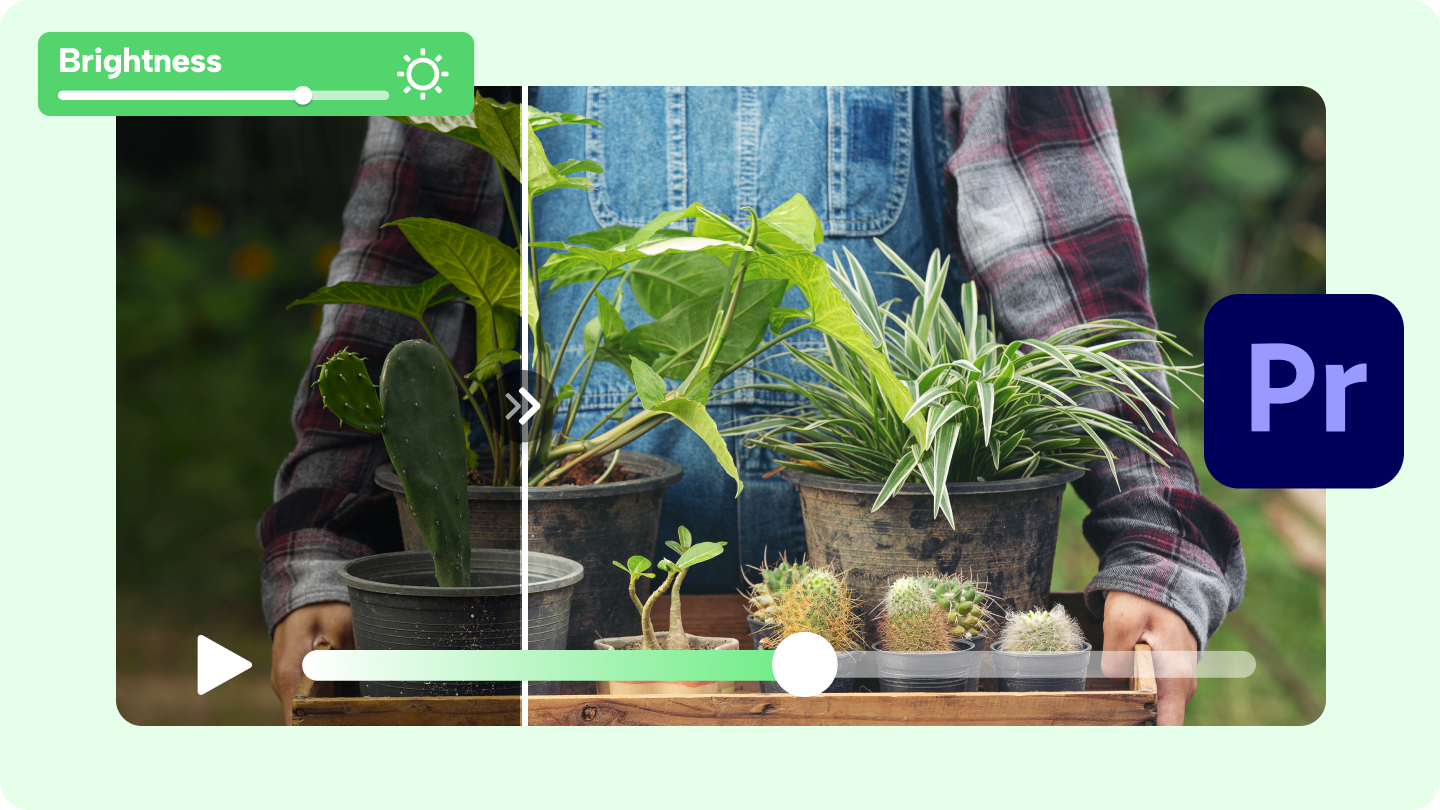 how to brighten video in Premiere Pro