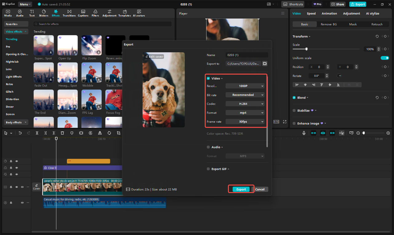 Exporting and sharing video in CapCut