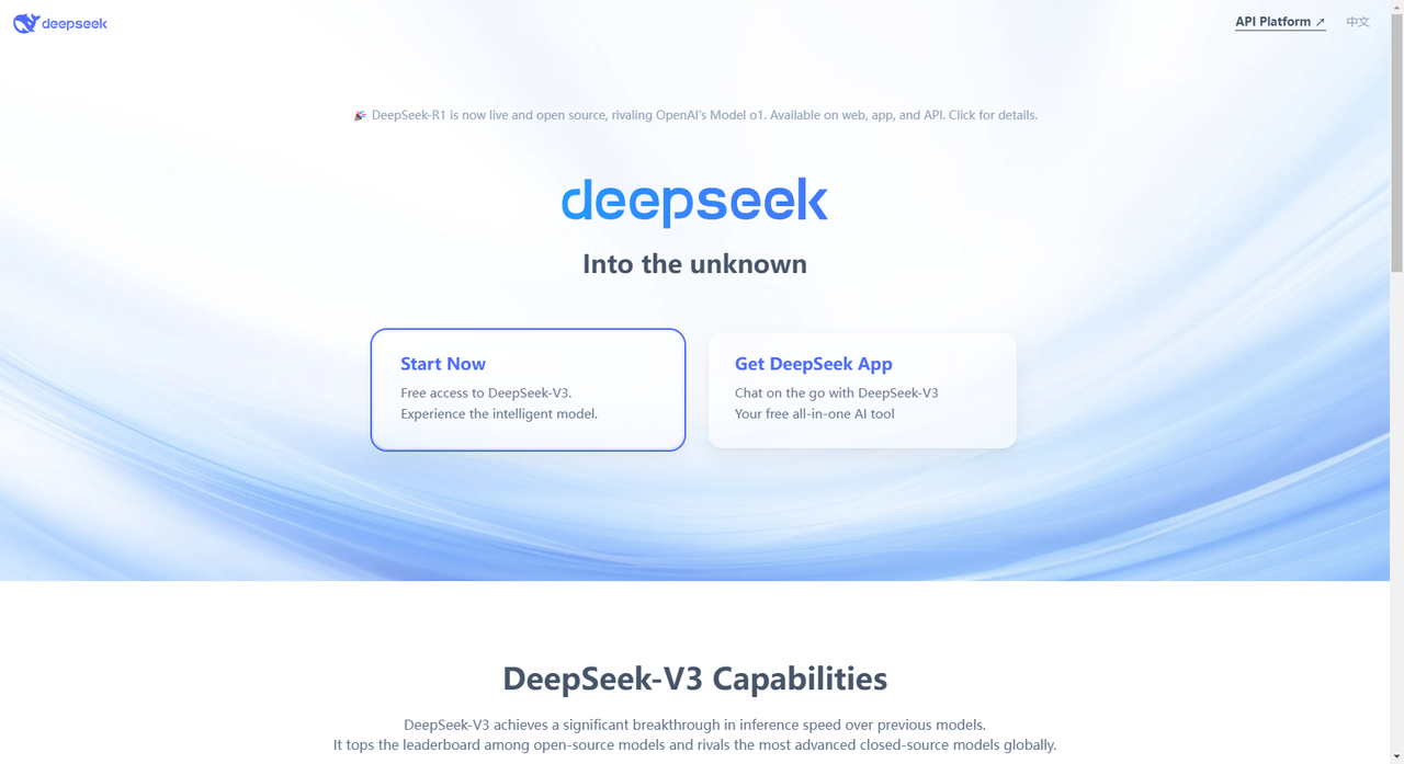 DeepSeek site