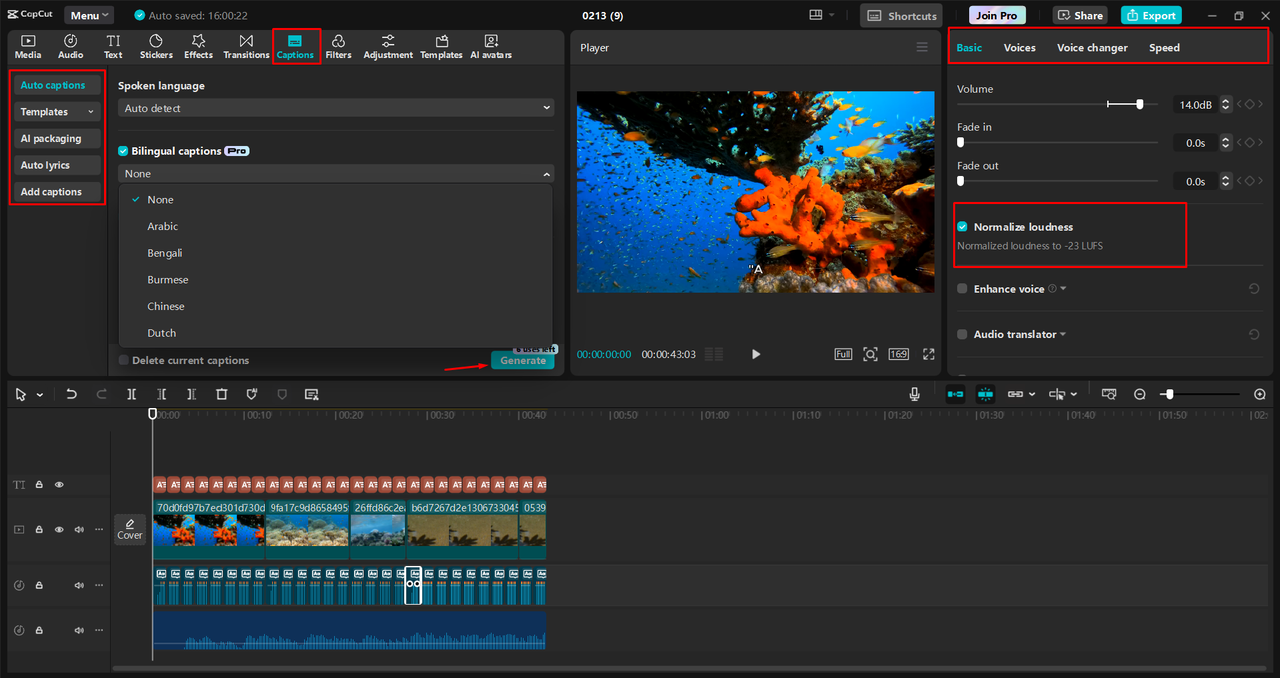 Adding captions and enhancing audio in the CapCut desktop video editor 