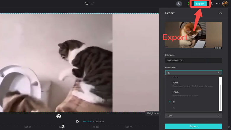 export-pet-videos.jpg