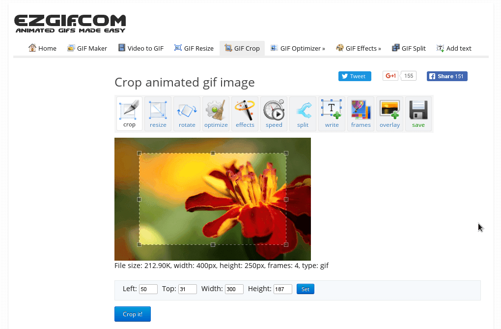 Top 6 Best Online GIF Cropper